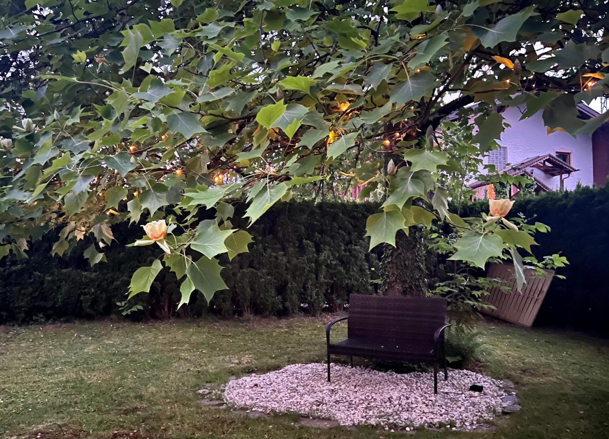 Haus Mit Garten Eugendorf Exterior foto
